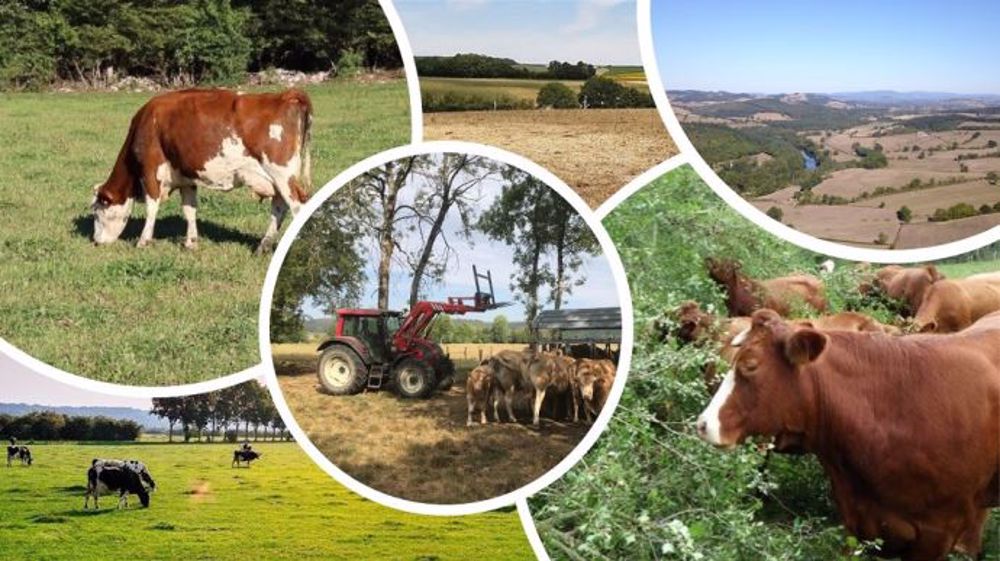 fiches_Secheresse_elevage-1000x562